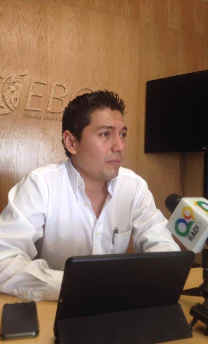 falso solo falso solo