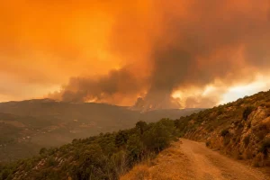 Imagen editorial contextual sin texto ni logotipos sobre incendios forestales en Europa