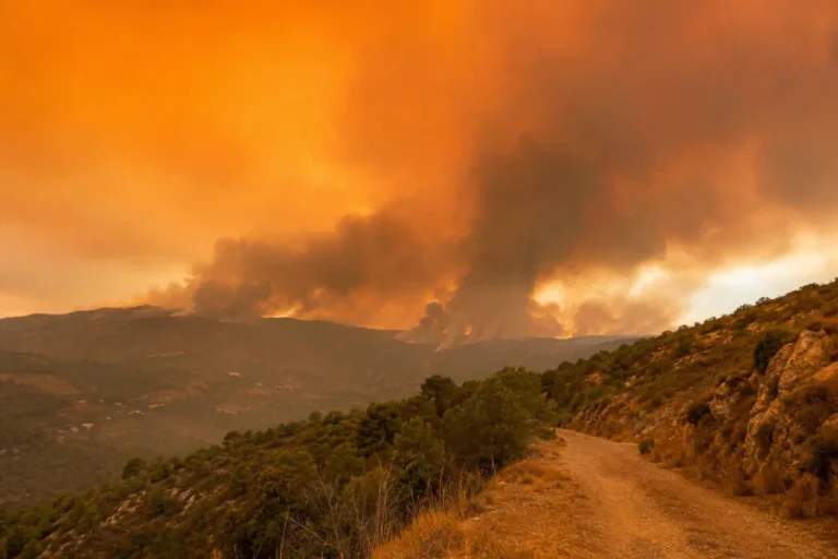 Imagen editorial contextual sin texto ni logotipos sobre incendios forestales en Europa