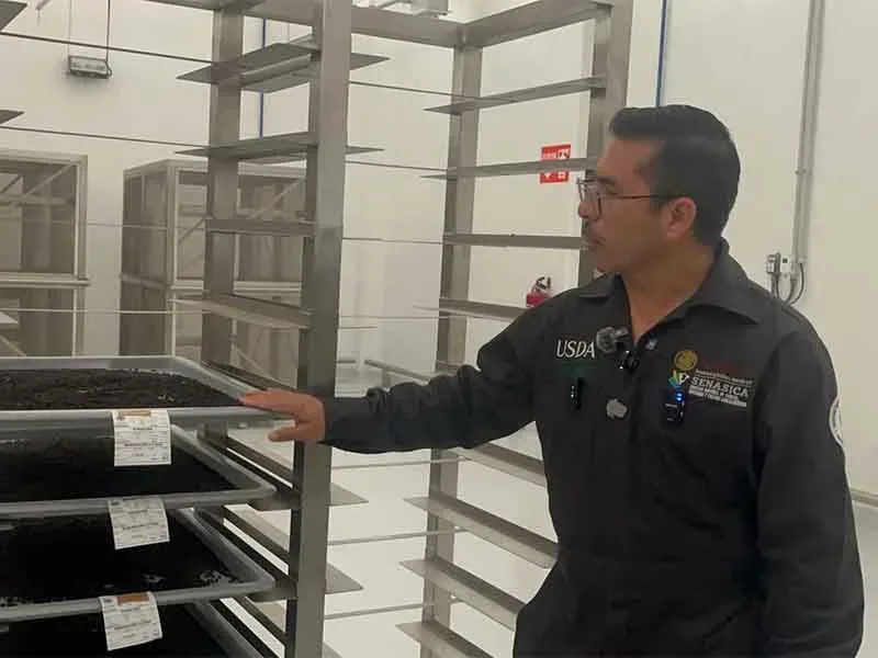Planta de producción de moscas estériles contra gusano barrenador en Metapa de Domínguez