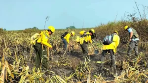 Combatientes forestales chiapanecos que participaran en la mision mexicana en Canada