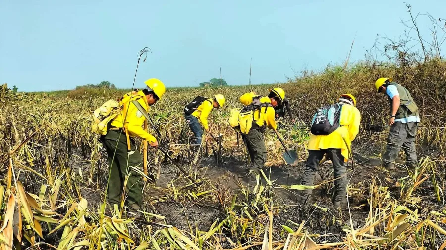 Combatientes forestales chiapanecos que participaran en la mision mexicana en Canada
