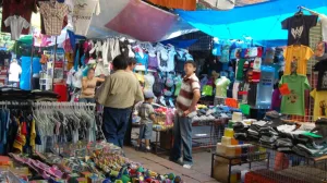 Actividad laboral y empleo informal en México