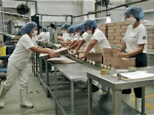 Jóvenes durante una actividad de vinculación laboral en Chiapas