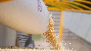 Productores agrícolas de Chiapas