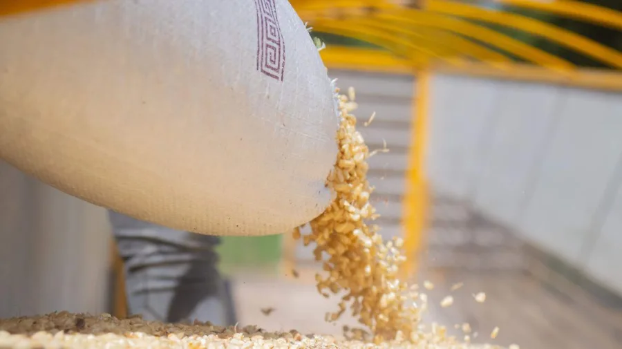 Productores agrícolas de Chiapas
