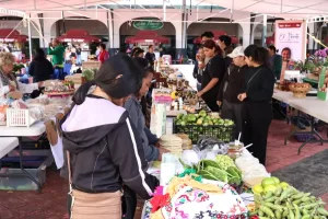 Productores del campo toluqueño