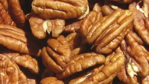 Producción de nuez pecana en México
