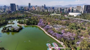 Actividad comercial de temporada vacacional en Ciudad de Mexico