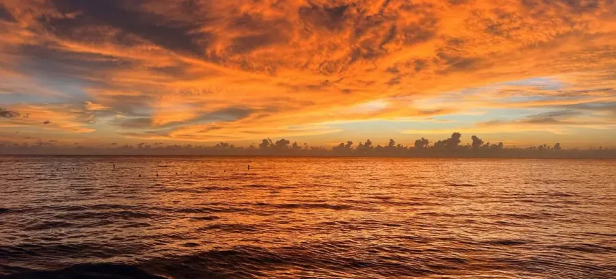 Paisaje afectado por temperaturas extremas durante agosto de 2026
