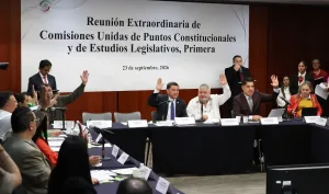 Sesión de las comisiones del Senado que avalaron la reforma sobre nacionalidad exclusiva
