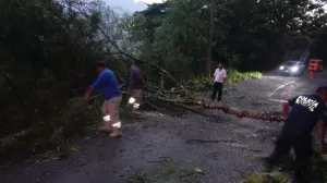 Árboles derribados por fuertes ráfagas de viento en un camino de Chapultenango, Chiapas