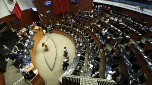 Sesión del Senado que aprobó el Día Nacional de la Salud en la Menopausia