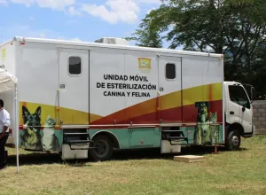 Personal veterinario durante jornada de esterilización canina y felina en Tuxtla Gutiérrez
