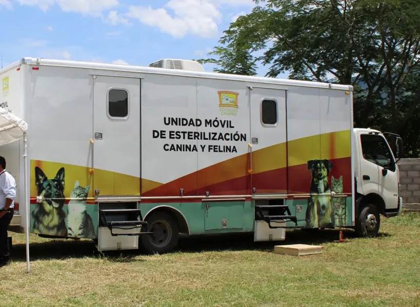 Personal veterinario durante jornada de esterilización canina y felina en Tuxtla Gutiérrez