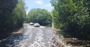 Puente dañado por las lluvias en un municipio de Chiapas