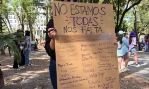 Imagen sobre la iniciativa federal de ley contra feminicidios