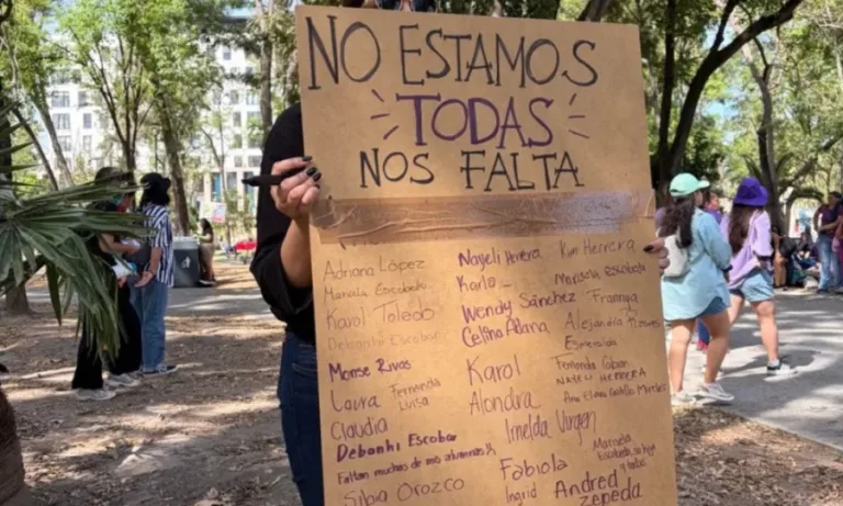 Imagen sobre la iniciativa federal de ley contra feminicidios
